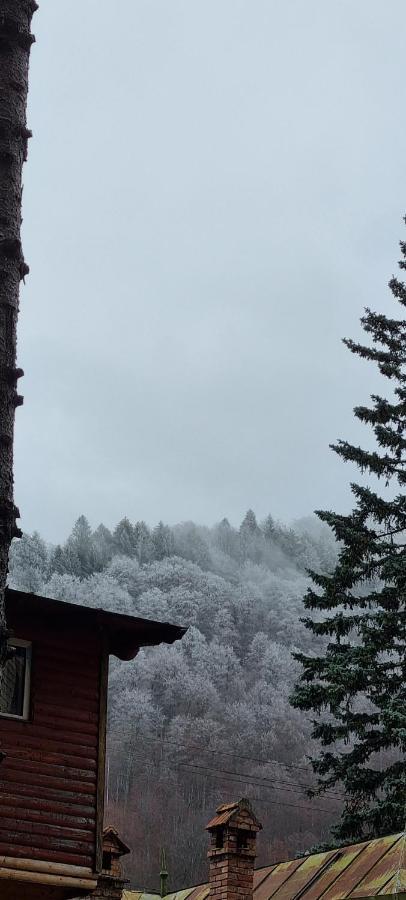 Sophie Apart Belleview Sinaia Eksteriør bilde