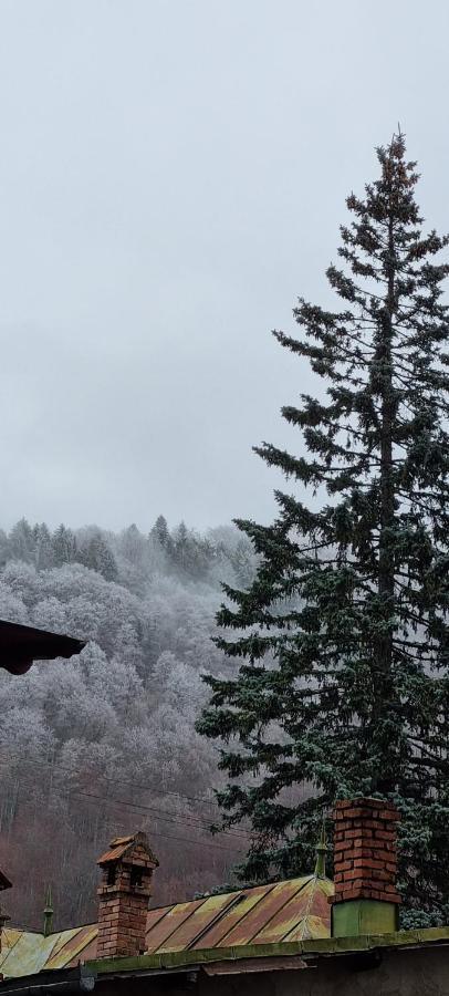 Sophie Apart Belleview Sinaia Eksteriør bilde